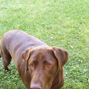 Meet your Posher, Sue